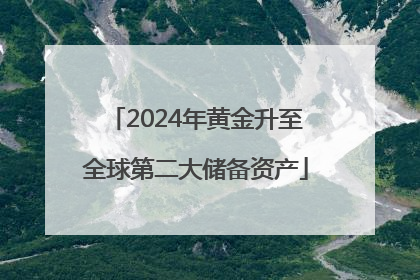 2024年黄金升至全球第二大储备资产