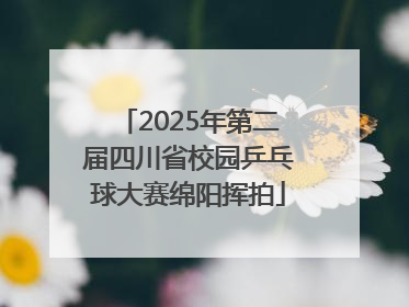 2025年第二届四川省校园乒乓球大赛绵阳挥拍