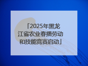 2025年黑龙江省农业春播劳动和技能竞赛启动