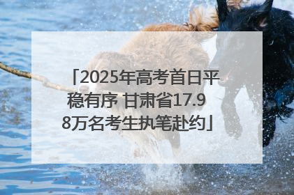 2025年高考首日平稳有序 甘肃省17.98万名考生执笔赴约
