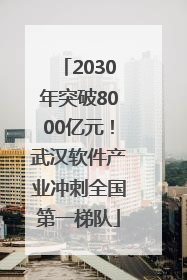 2030年突破8000亿元！武汉软件产业冲刺全国第一梯队