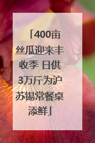 400亩丝瓜迎来丰收季 日供3万斤为沪苏锡常餐桌添鲜
