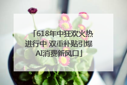 618年中狂欢火热进行中 双重补贴引爆AI消费新风口