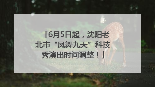 6月5日起，沈阳老北市“凤舞九天”科技秀演出时间调整！