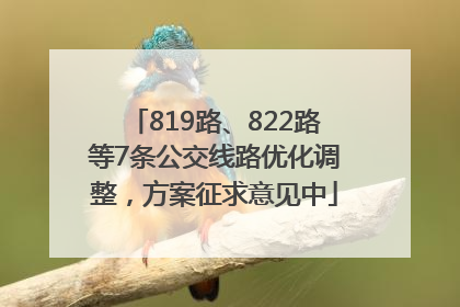819路、822路等7条公交线路优化调整，方案征求意见中