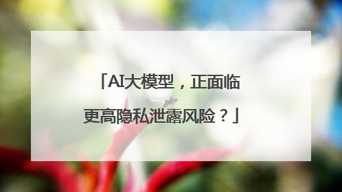 AI大模型，正面临更高隐私泄露风险？