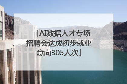 AI数据人才专场招聘会达成初步就业意向305人次