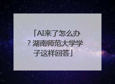 AI来了怎么办？湖南师范大学学子这样回答